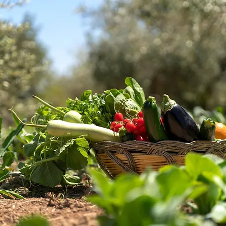 Alojamento de Turismo Rural Baglio Donna Concetta Noto