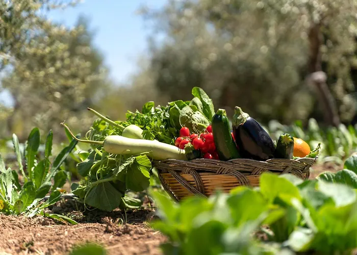 Farm stay Baglio Donna Concetta Noto